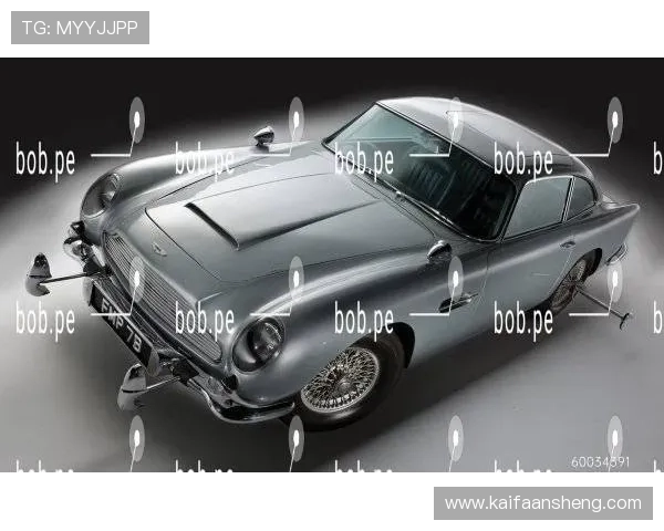 解读k8凯发数字站的最新技术与市场占有率 解读k8凯发数字站的最新技术与市场占有率