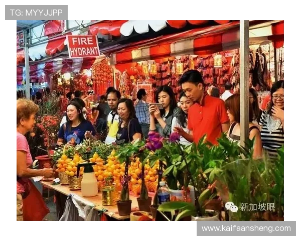 如何在新加坡凯发官网享受高效的客户支持与便捷的支付方式